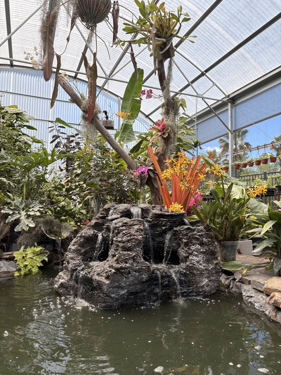 Sculpted rock water feature in a tropical garden